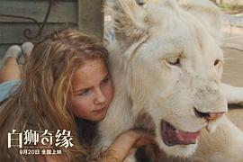 电影白狮传奇 图4