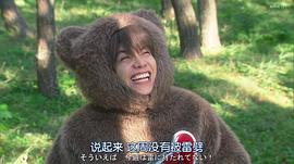 悲熊 圖1
