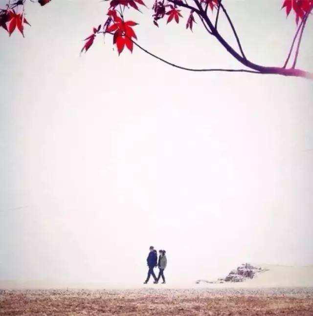 无憾