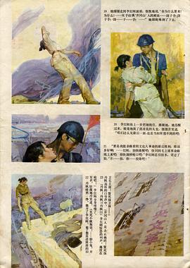 楓 圖2