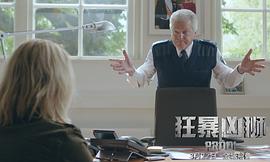 狂暴兇獅 圖8