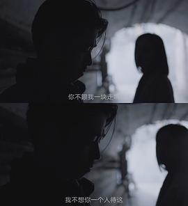 大象席地而坐 圖10