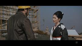 銀蝶的意思 圖8