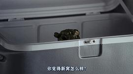 水下之秘 圖2