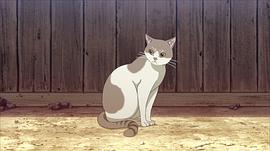 天晴爛漫！ 圖6