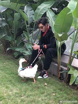 潮玩人類在哪里 圖7