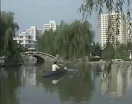 藍(lán)盾 圖8