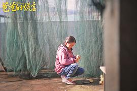爸爸的謊言 圖6