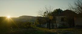 太阳照在桑干河上改编的电影 图8