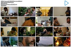 里約夜未眠 圖10
