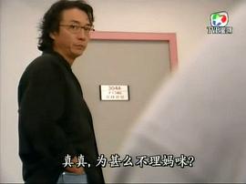 2001年香港电视剧大全 图9