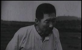 鮮花盛開的村莊 圖1