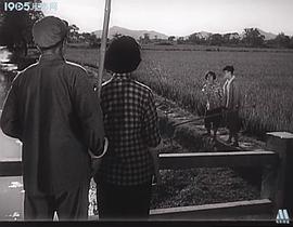 小白旗的風波 圖8