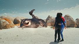 夺命五头鲨电影免费完整版 图8
