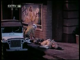 出水芙蓉1944 圖7
