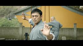 廣東十虎：鐵拳無敵 圖4
