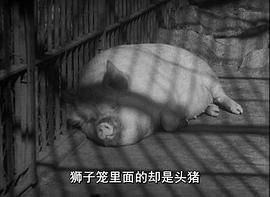 美好的星期天 圖10