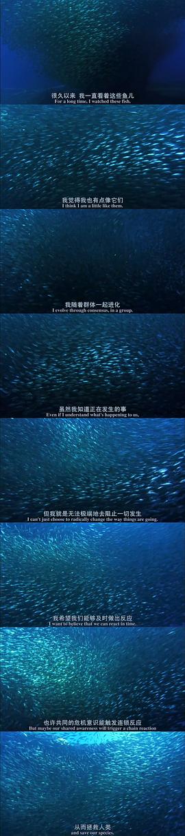 深海异兽 电影 图8