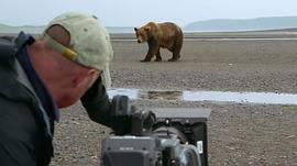 棕熊吃鲑鱼纪录片 图10