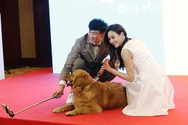 中国有关狗的电影有哪些 图3