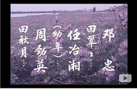鄉(xiāng)情 圖2
