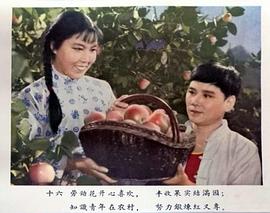 朝阳沟老电影1963全剧彩色版 图1