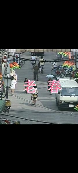 老春 圖2