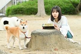 今日份的散步 圖4
