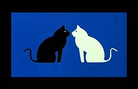 白猫和黑猫绘本 图1