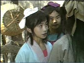 岳飛 圖7