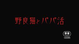 野貓少女 圖1