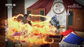 米雅的精靈王國 圖8