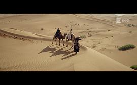 关于沙漠西域的电影 图3