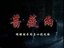 薔薇雨 圖9