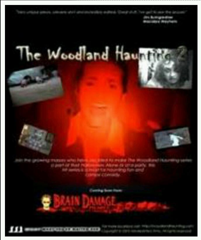 The Woodland Haunting 2