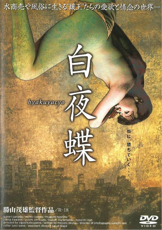 白夜蝶