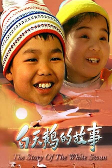 白天鵝的故事