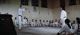 女警察 圖7