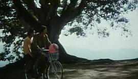 雙頭鷹之謎 圖6