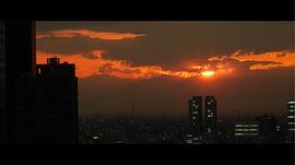 新宿天鹅3什么时候上映 图4