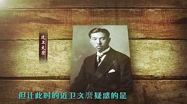 天罰——二戰(zhàn)全紀實(遠東篇) 圖5