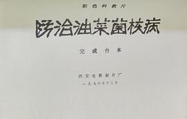 防治油菜菌核病 圖2