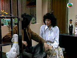 1980年香港电视剧 图5