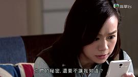香港警匪电视剧大全免费观看 图7