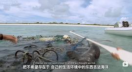 塑料海洋中文版 图9