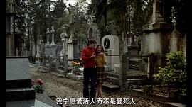 鐵玫瑰 圖3