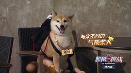 极限挑战 第六季 图10