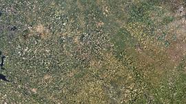 大衛(wèi)·愛登堡：地球上的一段生命旅程 圖3