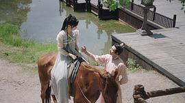 春家小姐是訟師 圖6