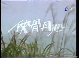 俠骨丹心 圖2